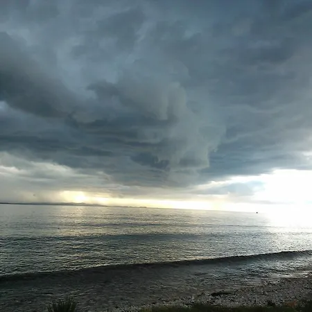 Grzunov * זאדאר