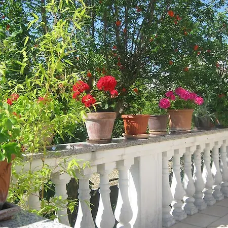 Grzunov Апартаменты *