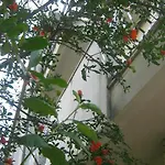 Grzunov Apartment *