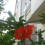 Grzunov