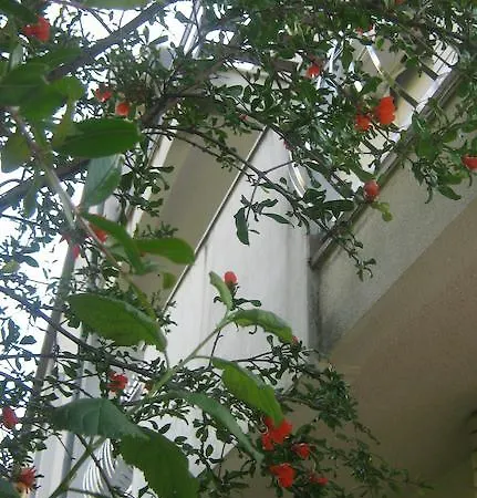 Grzunov 아파트 *