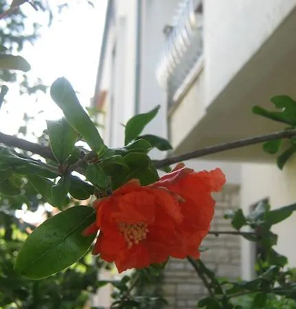 Grzunov