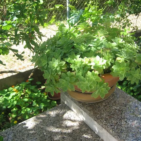 Grzunov Lejlighed Zadar